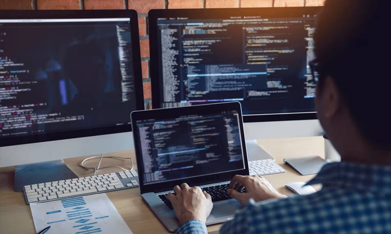 数据科学选型：R与Python如何赋能港口区网站建设？